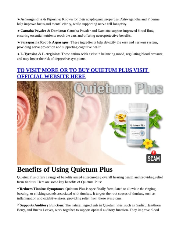 Quietum Plus (PROS OR CONS) — Really Work? - Page 4