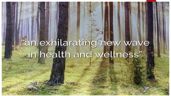 Wellness/Spa Presentation - Page 1