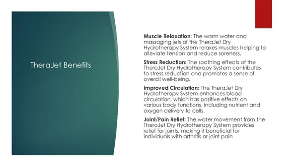 Wellness/Spa Presentation - Page 5