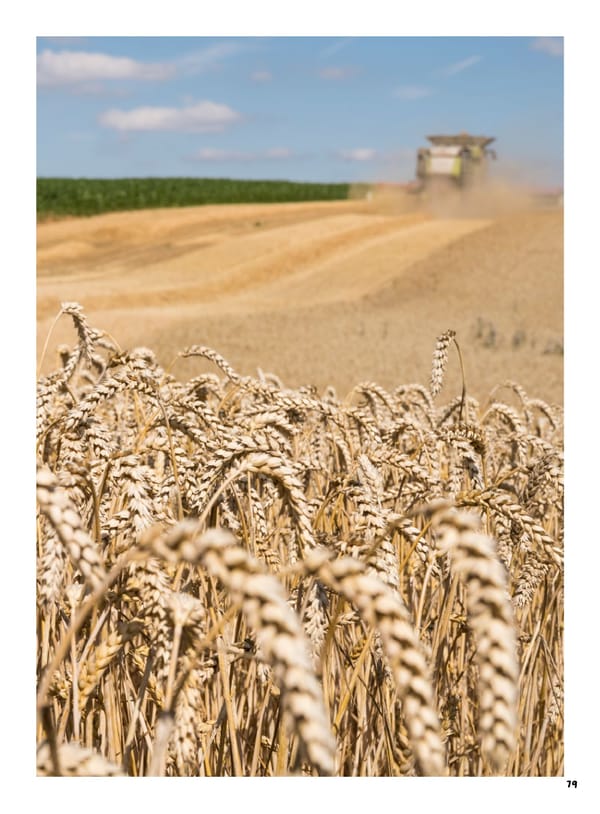 Rapport intégré du Groupe VIVESCIA 2024-2025 - Page 81