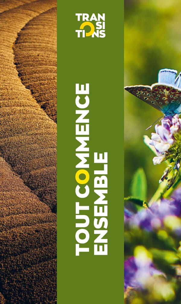 TRANSITIONS - Tout commence ensemble - Page 1