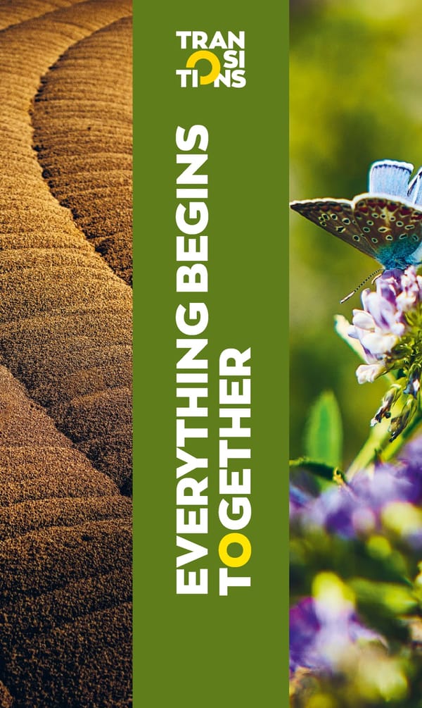 TRANSITIONS - Everything begins together - Page 1