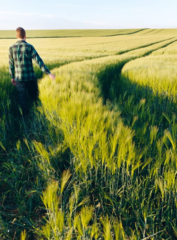 Entrepreneurial Ambition - VIVESCIA Integrated Report 2024-2025 - Page 10