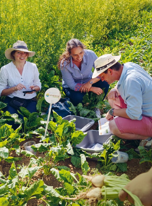 Entrepreneurial Ambition - VIVESCIA Integrated Report 2024-2025 - Page 30