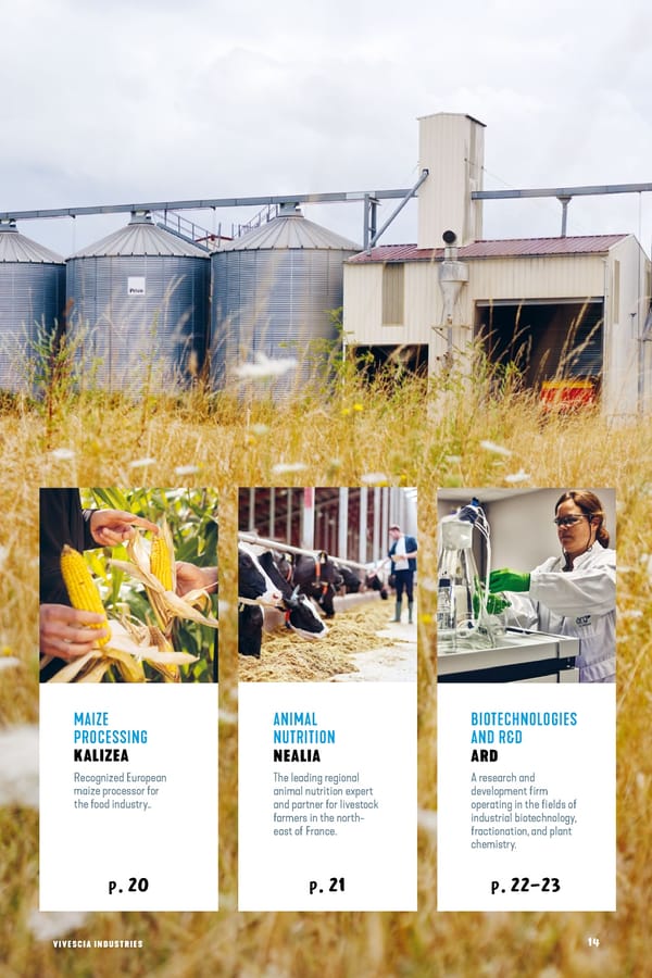 VIVESCIA Shareholders' Newsletter - Page 13